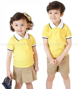 Công Ty TNHH Đại Đô Việt