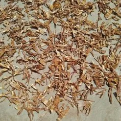 Doanh Nghiệp Bazan Việt