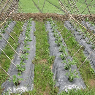 Nhựa Đại Toàn Phú – Công ty TNHH TM SX Đại Toàn Phú