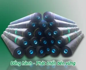 Màng Chống Thấm HDPE Vina Tân á – Công Ty Cổ Phần Vina Tân á