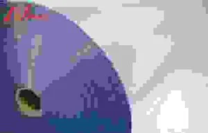 Công Ty TNHH Thương Mại Xuất Nhập Khẩu Plastic Nam Á