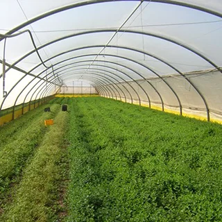Nhựa Đại Toàn Phú – Công ty TNHH TM SX Đại Toàn Phú