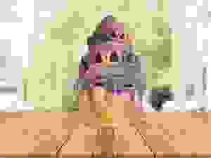 Công Ty TNHH Kim Nguyên