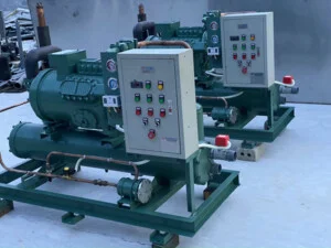 Kho Lạnh Mai Anh – Công Ty TNHH Cơ Điện Lạnh Mai Anh
