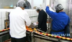 Công Ty TNHH Thương Mại Dịch Vụ Kỹ Thuật Hoàng Vũ