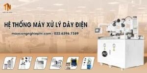 Công Ty TNHH Thương Mại Quốc Tế Thanh Nga Group