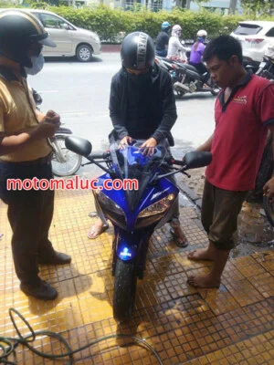 Công Ty TNHH Thương Mại Dịch Vụ Xuất Nhập Khẩu Mã Lực