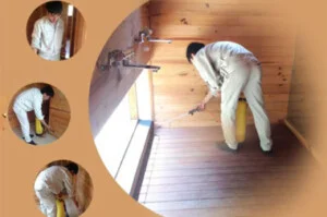 Công Ty TNHH Thương Mại Dịch Vụ Trừ Mối Khử Trùng Hải Long