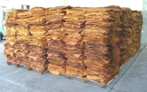 Cao Su Tân Đại An – Công Ty TNHH Một Thành Viên Thương Mại Dịch Vụ Cao Su Tân Đại An