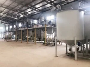 Công Ty TNHH Mã Phong Lợi Long An