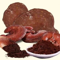 Doanh Nghiệp Bazan Việt