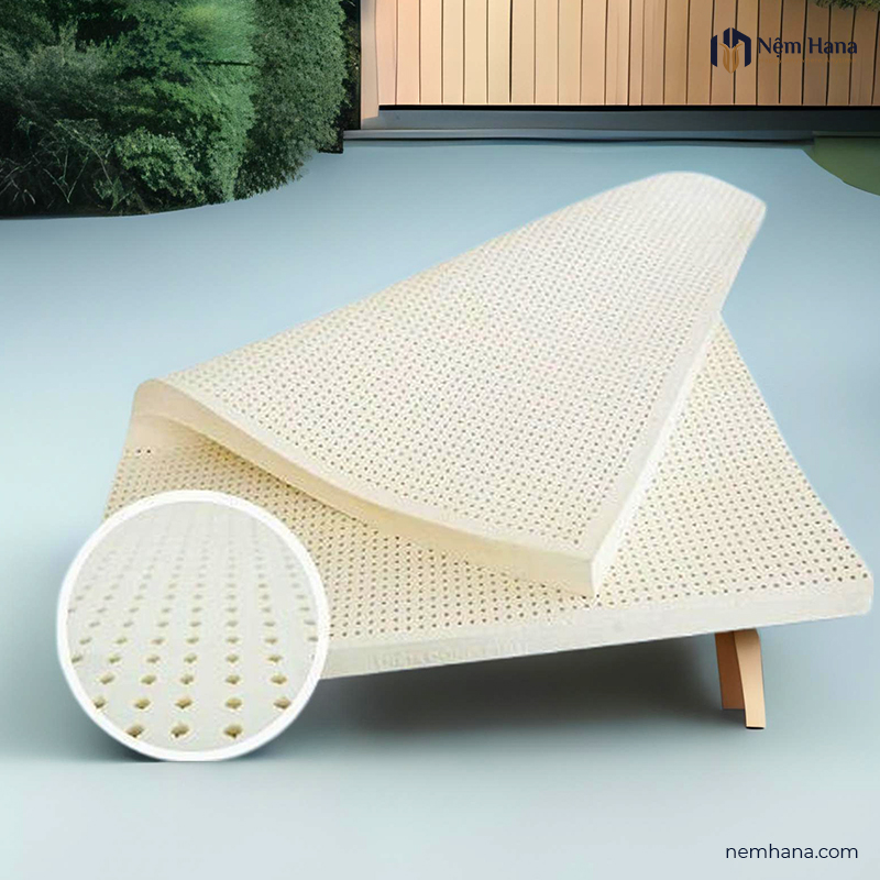 Nệm Hana – Công Ty TNHH Nệm Hana