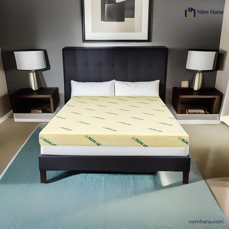 Nệm Hana – Công Ty TNHH Nệm Hana