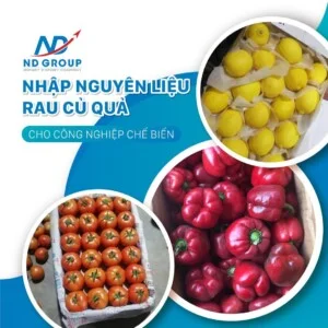 Công Ty TNHH Tập Đoàn Xuất Nhập Khẩu ND