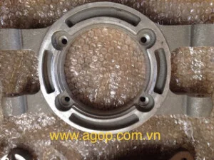 Gang Đúc AGOP Vietnam – Công Ty TNHH AGOP Vietnam
