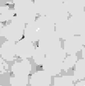 Nhựa Ô Tô Gia Bảo – Công Ty Cổ Phần Xuất Nhập Khẩu Nhựa Ô Tô Gia Bảo