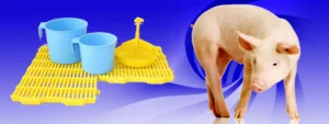 Công Ty TNHH Sản Xuất – Thương Mại Nhật Tiến