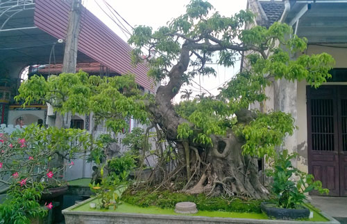 Công ty cổ phần anh huy chiến thắng