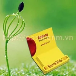 Công Ty Cổ Phần Đầu Tư Quốc Tế An Việt