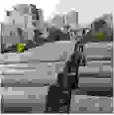 Công Ty TNHH Giải Pháp Môi Trường Và Nước Việt