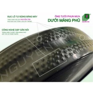 Công Ty TNHH TM Và SX Nhựa Nông Nghiệp Tân Phước Hưng