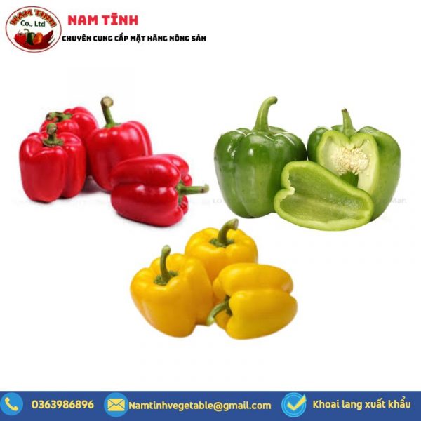 Nông Sản Nam Tĩnh – Công Ty TNHH Nam Tĩnh
