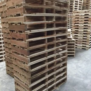 Công Ty TNHH Pallet Gỗ Mai Hoa