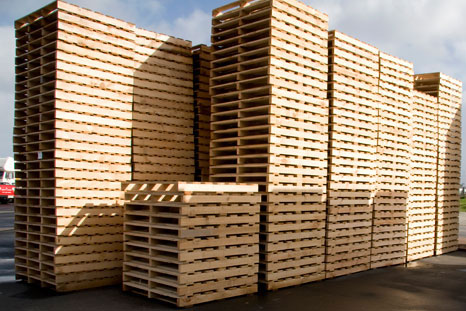 Pallet Gỗ Thủy Kiên – Công Ty TNHH Sản Xuất Và Thương Mại Gỗ Thủy Kiên