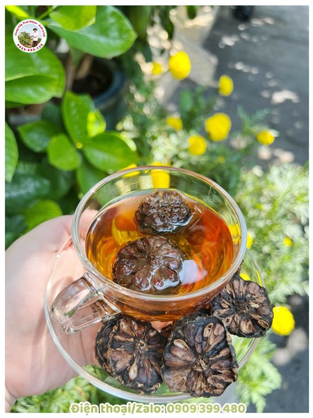 Trái Nhàu – Công Ty Cổ Phần Lương Thực Phương Nam