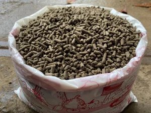 Đất Sạch Tiền Giang – Cơ Sở Sản Xuất Vạn Phát