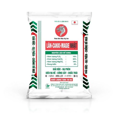Bao Bì Thiên Lộc Phát – Công Ty TNHH Sản Xuất Bao Bì Thiên Lộc Phát