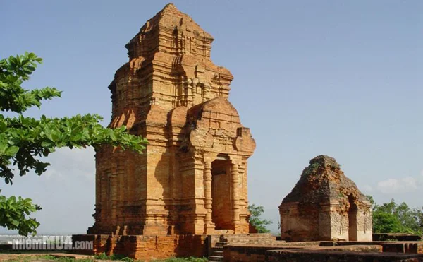 Công Ty TNHH Thương Mại Dịch Vụ Du Lịch Việt Nhân