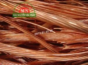 Công Ty TNHH MTV Mai Nguyễn Lộc Phát