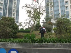 Công Ty Cổ Phần Công Nghệ Sinh Học Thông Minh