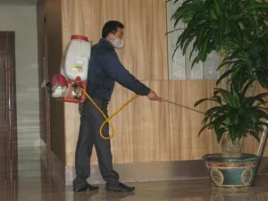 Công Ty Cổ Phần Công Nghệ Sinh Học Thông Minh