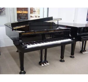 Công Ty TNHH Văn Hóa Nghệ Thuật Đức Thương