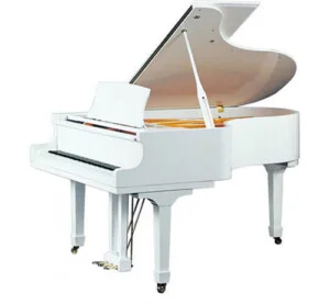 Công Ty TNHH Văn Hóa Nghệ Thuật Đức Thương