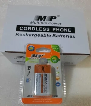 Doanh Nghiệp Tư Nhân Pin Camelion