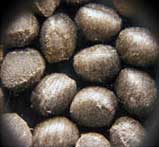 Công Ty TNHH Kỹ Thuật Nhật Việt