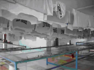 Công Ty TNHH Thuận Kiều Vải