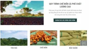 Ritachi Coffee – Công Ty TNHH Nosavi