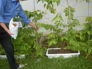 Công Ty Cổ Phần Công Nghệ Sinh Học Thông Minh