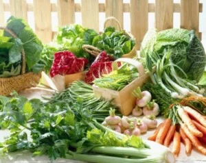 Cung Cấp Rau Sạch – Công Ty Cổ Phần Nông Sản Thực Phẩm Thành Nam