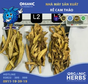Công Ty Cổ Phần Thực Mỹ Phẩm ORGANICHERBS