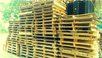 Pallet Sống Thật – Công Ty TNHH Sống Thật
