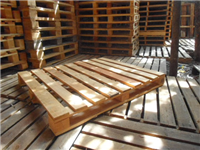 Pallet Sống Thật – Công Ty TNHH Sống Thật