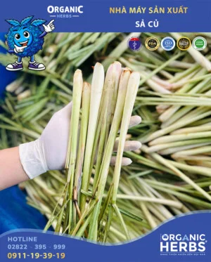 Công Ty Cổ Phần Thực Mỹ Phẩm ORGANICHERBS
