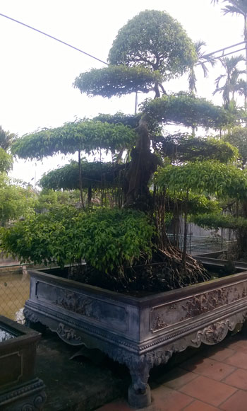 Công ty cổ phần anh huy chiến thắng