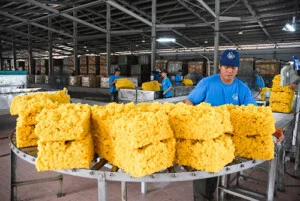 Công Ty TNHH SX TM XNK Hoàng Thịnh