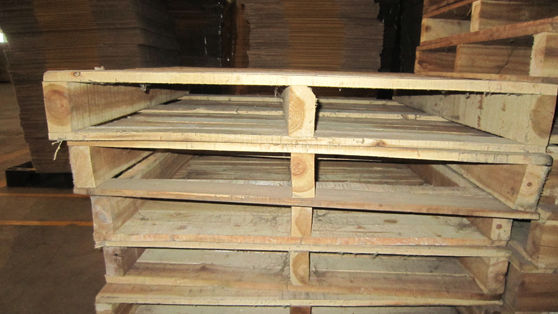 Doanh Nghiệp Tư Nhân ánh Dương